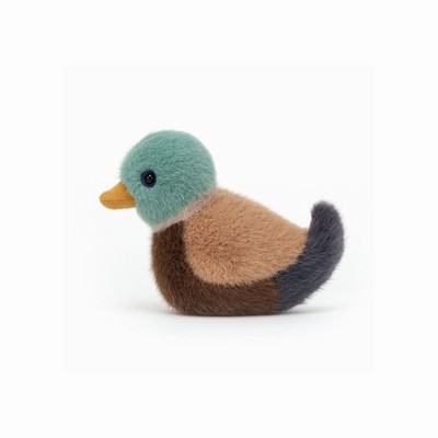 Jellycat Mallard Birds Australia | 641978GIL